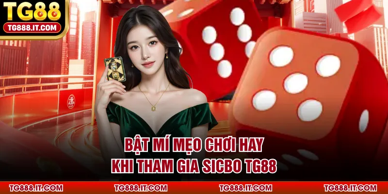 Bật mí mẹo chơi hay khi tham gia Sicbo TG88